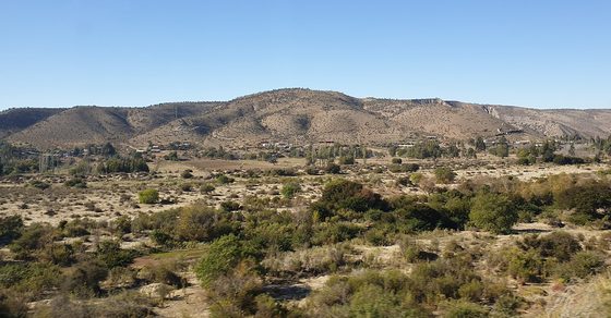 Cerros áridos del valle del Limarí